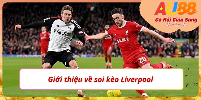Thử thách đầy kích thích cùng soi kèo Liverpool